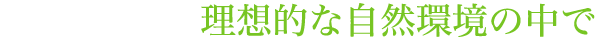理想的な自然環境の中で