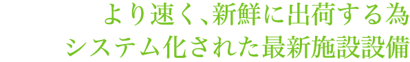 より速く、新鮮に出荷する為システム化された最新施設設備