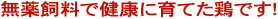 ���򎔗��Ō��N�Ɉ�Ă��{�ł�!